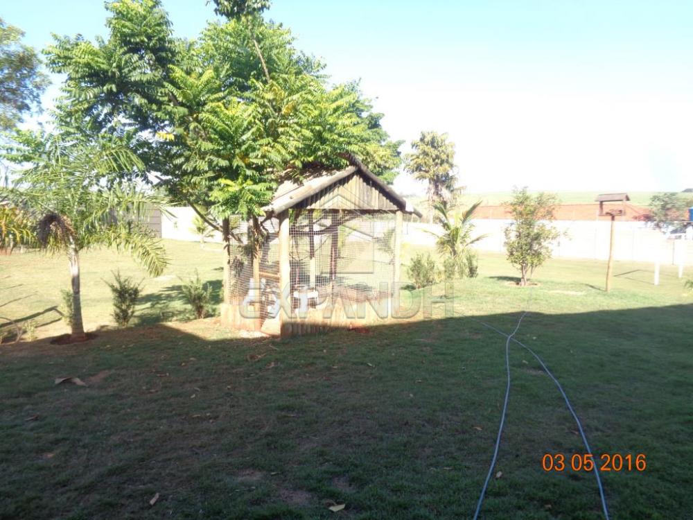 Alugar Rurais / Chácara em Sertãozinho apenas R$ 3.900,00 - Foto 30 Alugar Rurais / Chácara em Sertãozinho apenas R$ 3.900,00 - Foto 30