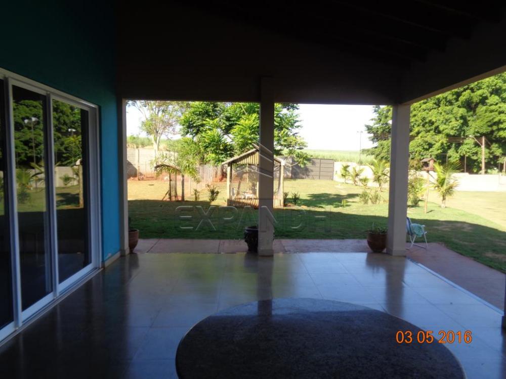 Alugar Rurais / Chácara em Sertãozinho apenas R$ 3.900,00 - Foto 6 Alugar Rurais / Chácara em Sertãozinho apenas R$ 3.900,00 - Foto 6