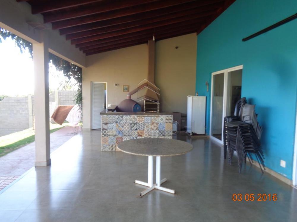 Alugar Rurais / Chácara em Sertãozinho apenas R$ 3.900,00 - Foto 41 Alugar Rurais / Chácara em Sertãozinho apenas R$ 3.900,00 - Foto 41
