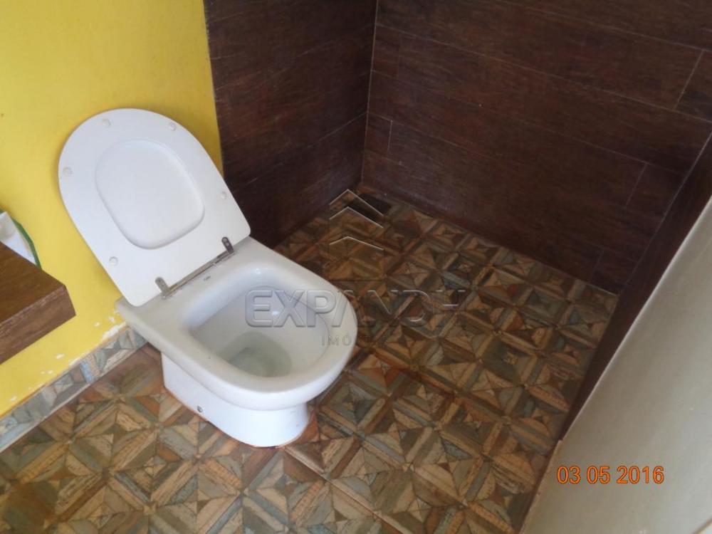 Alugar Rurais / Chácara em Sertãozinho apenas R$ 3.900,00 - Foto 38 Alugar Rurais / Chácara em Sertãozinho apenas R$ 3.900,00 - Foto 38