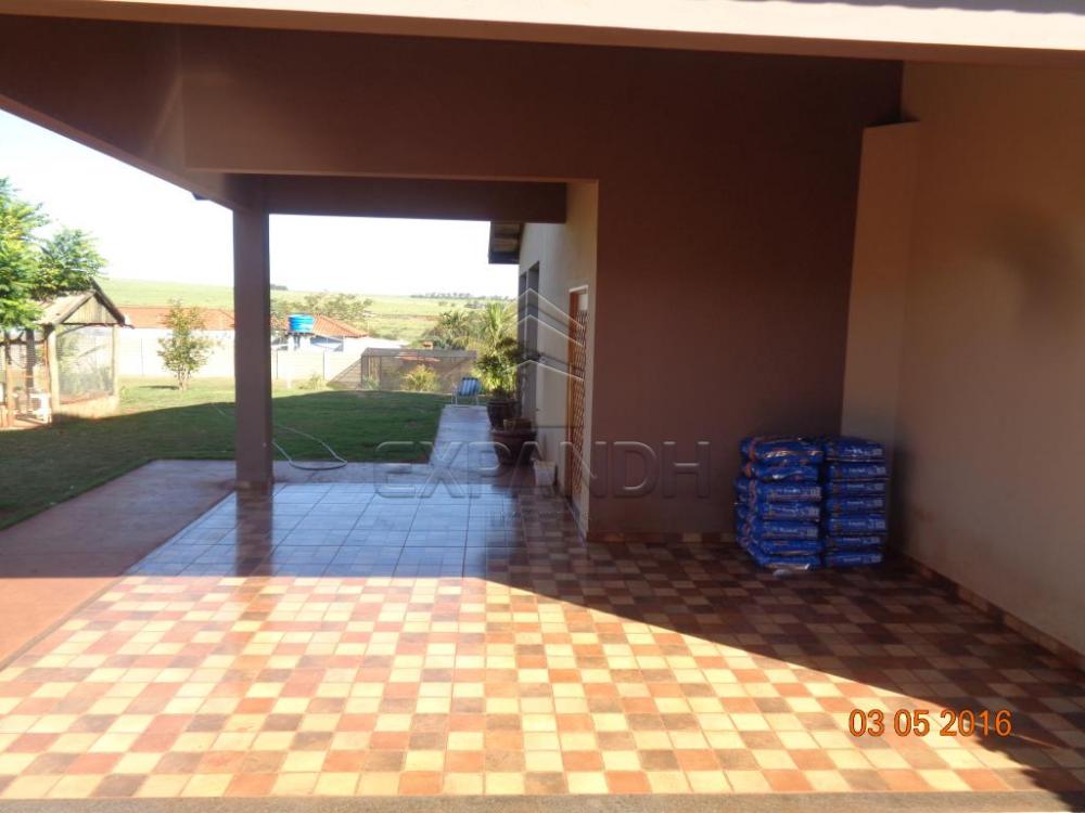 Alugar Rurais / Chácara em Sertãozinho apenas R$ 3.900,00 - Foto 5 Alugar Rurais / Chácara em Sertãozinho apenas R$ 3.900,00 - Foto 5