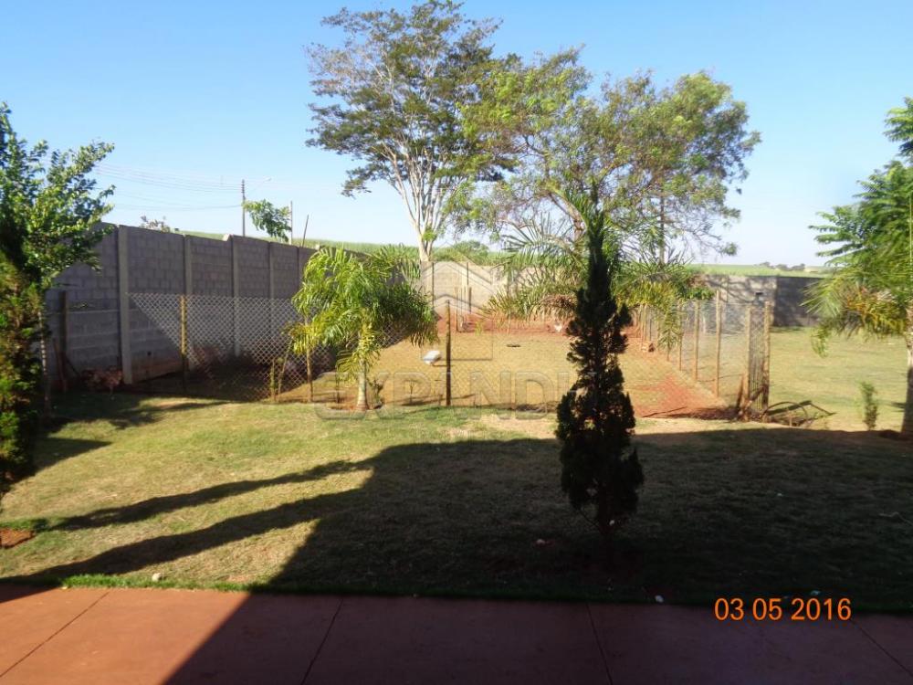 Alugar Rurais / Chácara em Sertãozinho apenas R$ 3.900,00 - Foto 31 Alugar Rurais / Chácara em Sertãozinho apenas R$ 3.900,00 - Foto 31