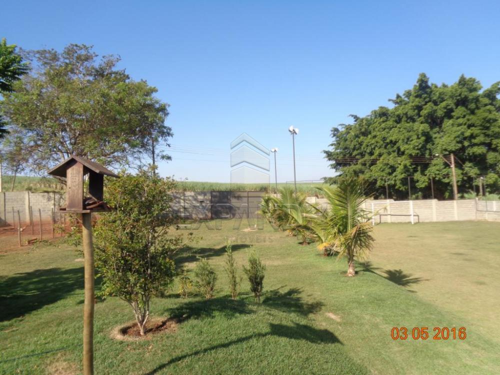 Alugar Rurais / Chácara em Sertãozinho apenas R$ 3.900,00 - Foto 29 Alugar Rurais / Chácara em Sertãozinho apenas R$ 3.900,00 - Foto 29