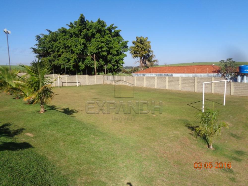 Alugar Rurais / Chácara em Sertãozinho apenas R$ 3.900,00 - Foto 28 Alugar Rurais / Chácara em Sertãozinho apenas R$ 3.900,00 - Foto 28