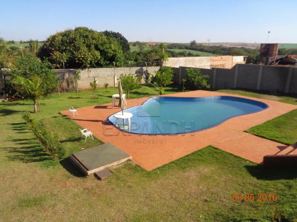 Alugar Rurais / Chácara em Sertãozinho apenas R$ 3.900,00 - Foto 3 Alugar Rurais / Chácara em Sertãozinho apenas R$ 3.900,00 - Foto 3