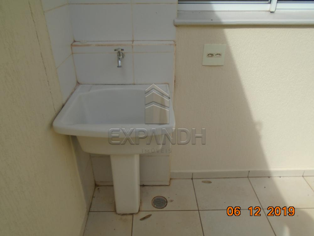 Alugar Casas / Condomínio em Sertãozinho R$ 1.250,00 - Foto 10 Alugar Casas / Condomínio em Sertãozinho R$ 1.250,00 - Foto 10