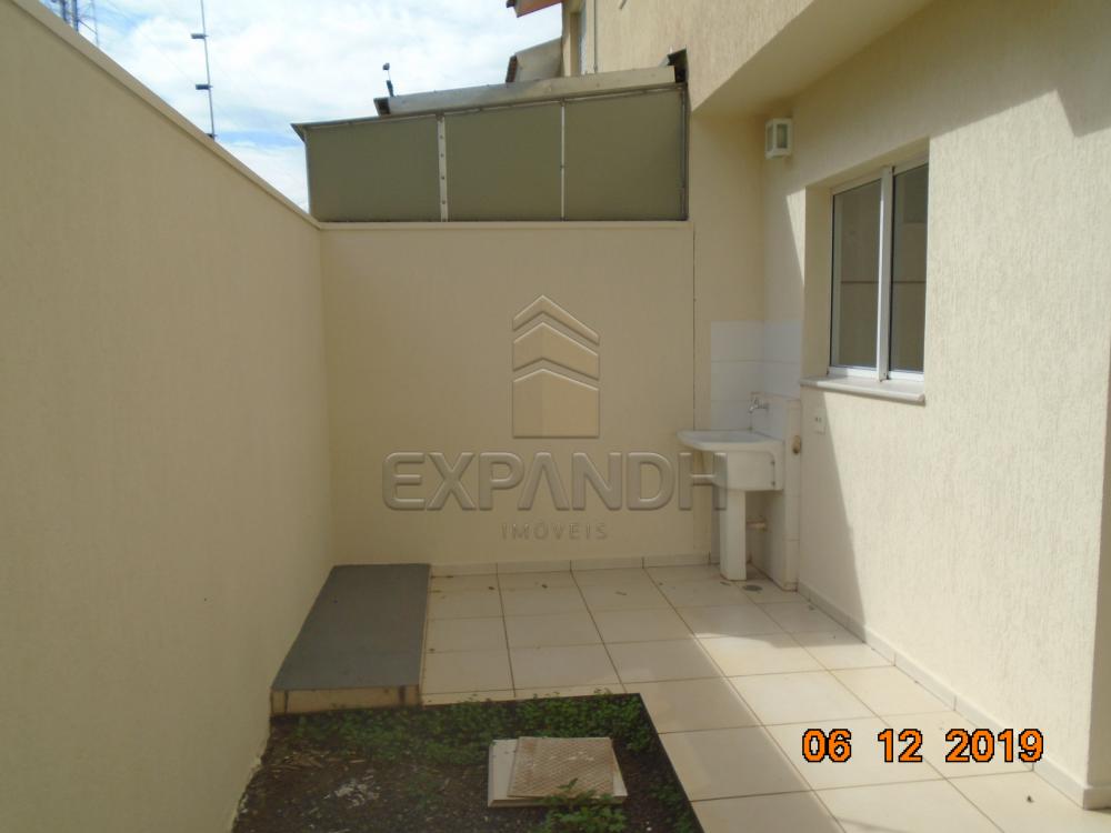 Alugar Casas / Condomínio em Sertãozinho R$ 1.250,00 - Foto 11 Alugar Casas / Condomínio em Sertãozinho R$ 1.250,00 - Foto 11