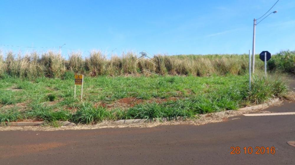 Comprar Terrenos / Padrão em Sertãozinho R$ 130.000,00 - Foto 1 Comprar Terrenos / Padrão em Sertãozinho R$ 130.000,00 - Foto 1
