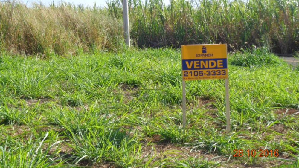 Comprar Terrenos / Padrão em Sertãozinho R$ 130.000,00 - Foto 4 Comprar Terrenos / Padrão em Sertãozinho R$ 130.000,00 - Foto 4