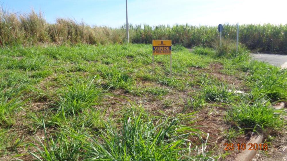 Comprar Terrenos / Padrão em Sertãozinho R$ 130.000,00 - Foto 6 Comprar Terrenos / Padrão em Sertãozinho R$ 130.000,00 - Foto 6