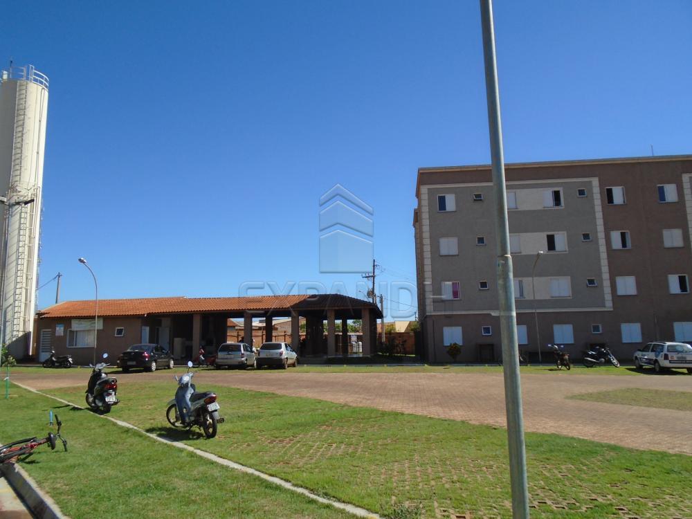 Comprar Apartamentos / Padrão em sertãozinho apenas R$ 125.000,00 - Foto 3 Comprar Apartamentos / Padrão em sertãozinho apenas R$ 125.000,00 - Foto 3