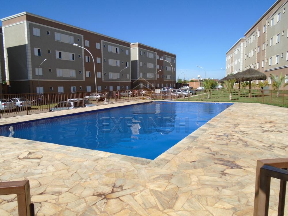 Comprar Apartamentos / Padrão em sertãozinho apenas R$ 125.000,00 - Foto 4 Comprar Apartamentos / Padrão em sertãozinho apenas R$ 125.000,00 - Foto 4