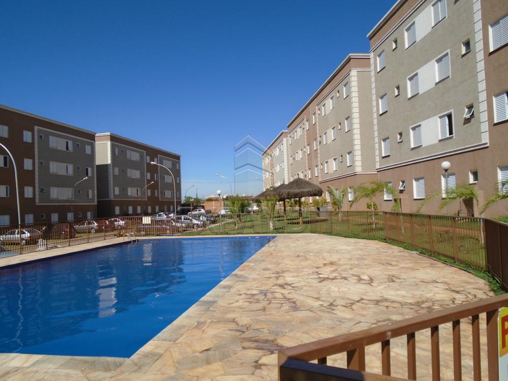 Comprar Apartamentos / Padrão em sertãozinho apenas R$ 125.000,00 - Foto 5 Comprar Apartamentos / Padrão em sertãozinho apenas R$ 125.000,00 - Foto 5