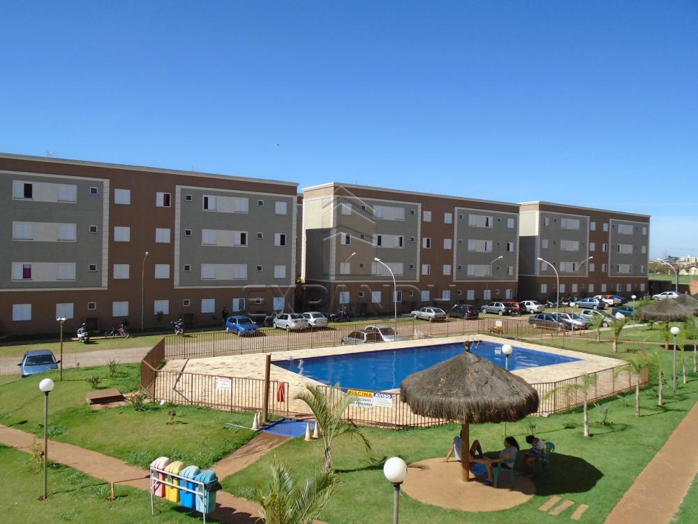 Comprar Apartamentos / Padrão em sertãozinho apenas R$ 125.000,00 - Foto 13 Comprar Apartamentos / Padrão em sertãozinho apenas R$ 125.000,00 - Foto 13
