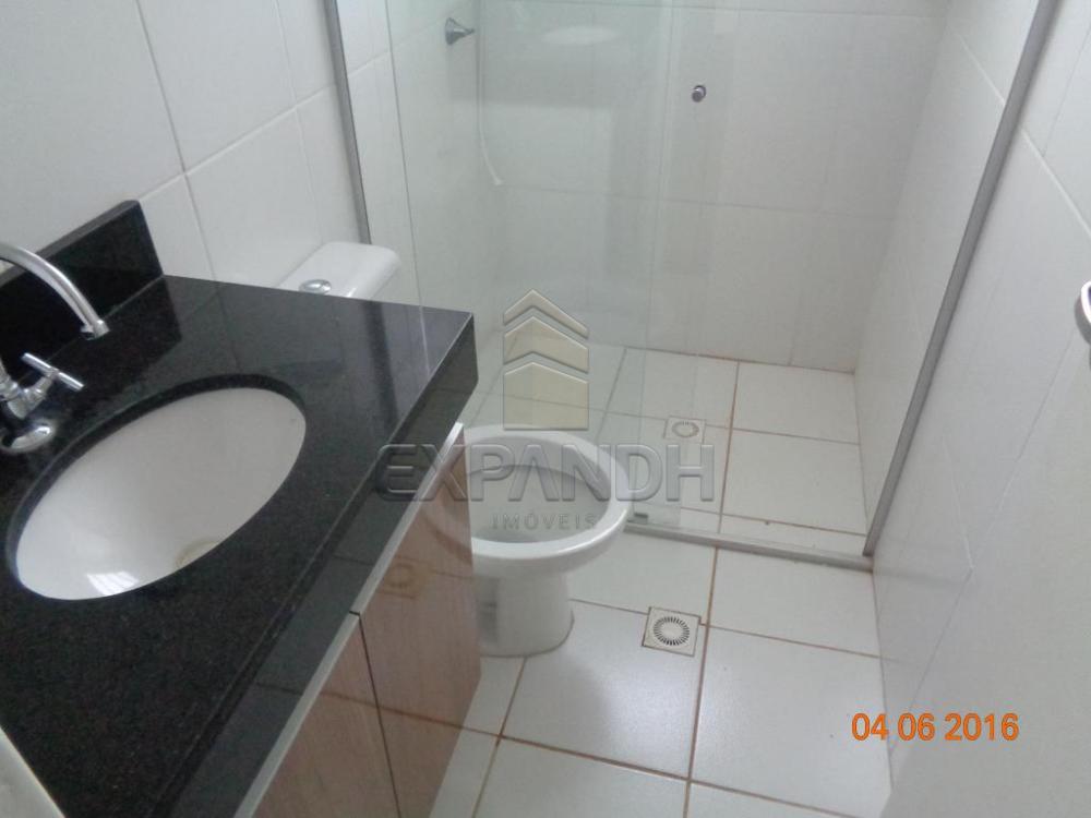 Alugar Apartamentos / Padrão em Sertãozinho apenas R$ 750,00 - Foto 11 Alugar Apartamentos / Padrão em Sertãozinho apenas R$ 750,00 - Foto 11