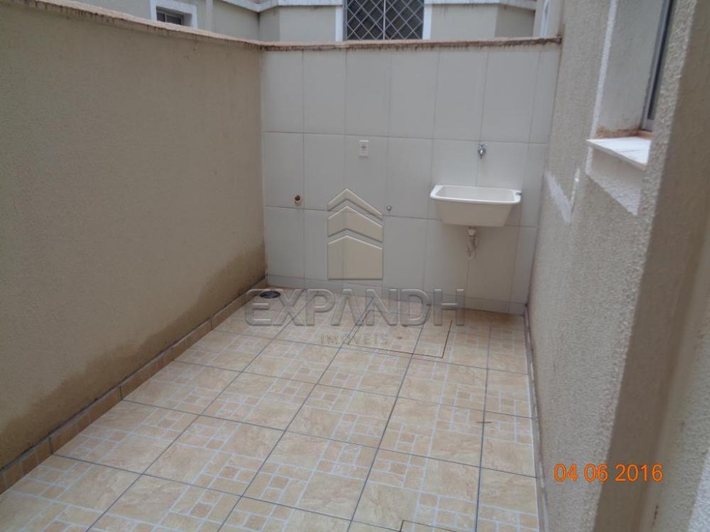 Alugar Apartamentos / Padrão em Sertãozinho apenas R$ 750,00 - Foto 14 Alugar Apartamentos / Padrão em Sertãozinho apenas R$ 750,00 - Foto 14