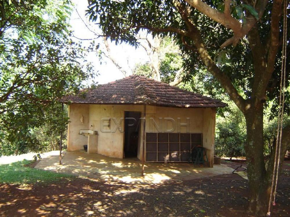 Alugar Comerciais / Galpão em Sertãozinho R$ 6.502,70 - Foto 4 Alugar Comerciais / Galpão em Sertãozinho R$ 6.502,70 - Foto 4