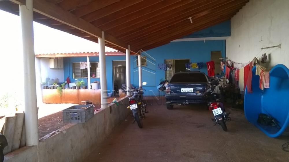 Comprar Casas / Padrão em Sertãozinho apenas R$ 220.000,00 - Foto 12 Comprar Casas / Padrão em Sertãozinho apenas R$ 220.000,00 - Foto 12