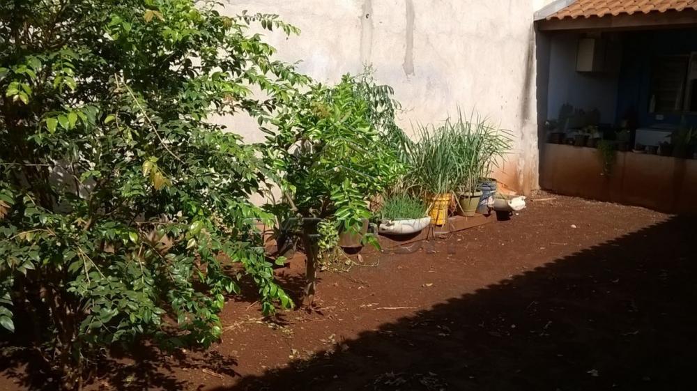 Comprar Casas / Padrão em Sertãozinho apenas R$ 220.000,00 - Foto 16 Comprar Casas / Padrão em Sertãozinho apenas R$ 220.000,00 - Foto 16