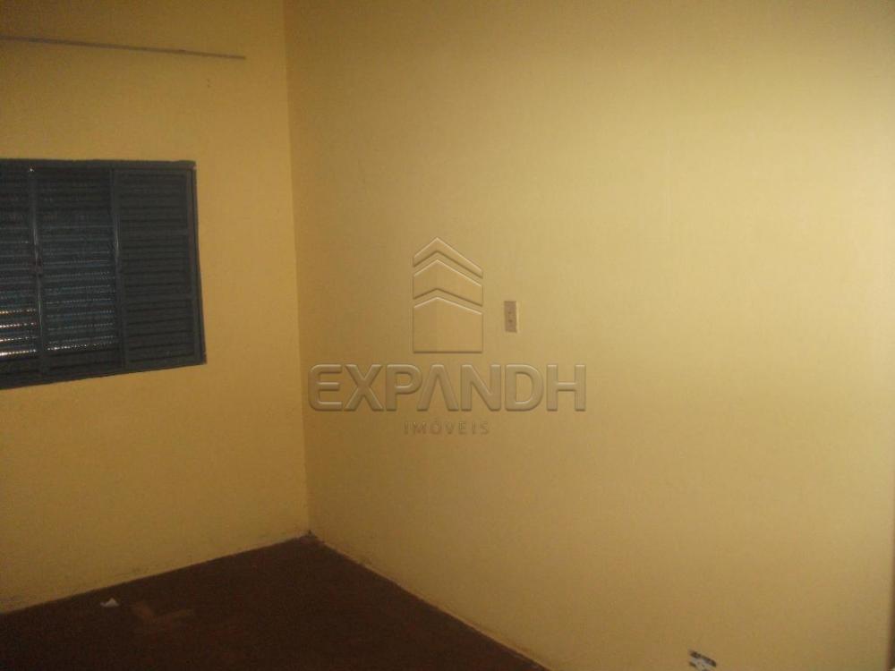 Alugar Casas / Padrão em Sertãozinho R$ 755,00 - Foto 14 Alugar Casas / Padrão em Sertãozinho R$ 755,00 - Foto 14