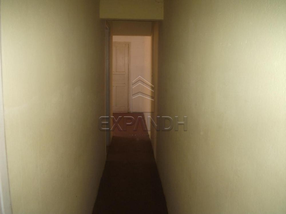Alugar Casas / Padrão em Sertãozinho R$ 755,00 - Foto 13 Alugar Casas / Padrão em Sertãozinho R$ 755,00 - Foto 13