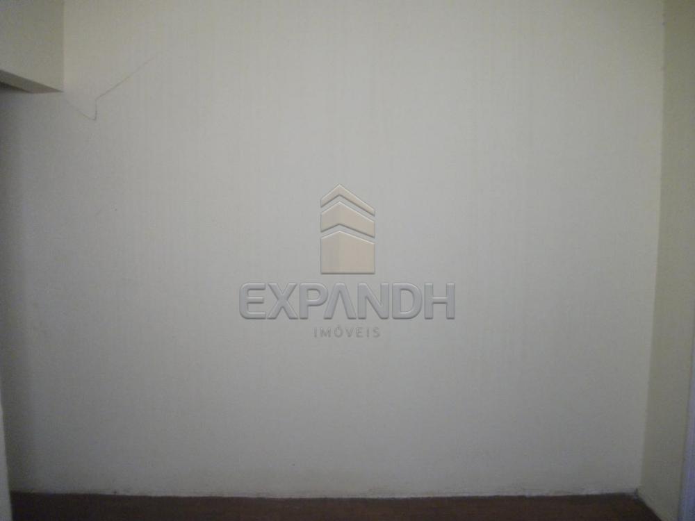 Alugar Casas / Padrão em Sertãozinho R$ 755,00 - Foto 17 Alugar Casas / Padrão em Sertãozinho R$ 755,00 - Foto 17