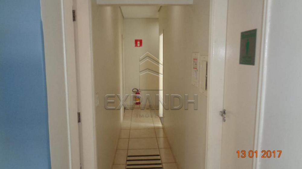 Alugar Comerciais / Sala em Sertãozinho apenas R$ 500,00 - Foto 3 Alugar Comerciais / Sala em Sertãozinho apenas R$ 500,00 - Foto 3