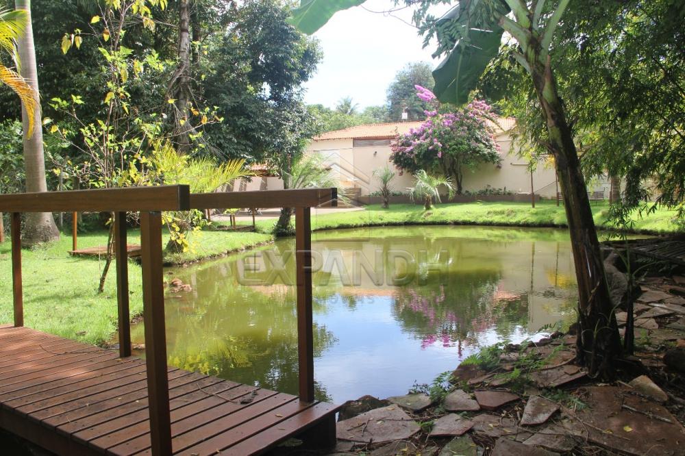 Alugar Rurais / Chácara em Sertãozinho R$ 3.850,00 - Foto 11 Alugar Rurais / Chácara em Sertãozinho R$ 3.850,00 - Foto 11