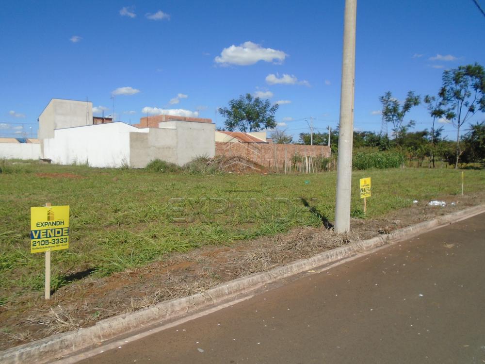 Comprar Terrenos / Padrão em Sertãozinho R$ 115.000,00 - Foto 5
