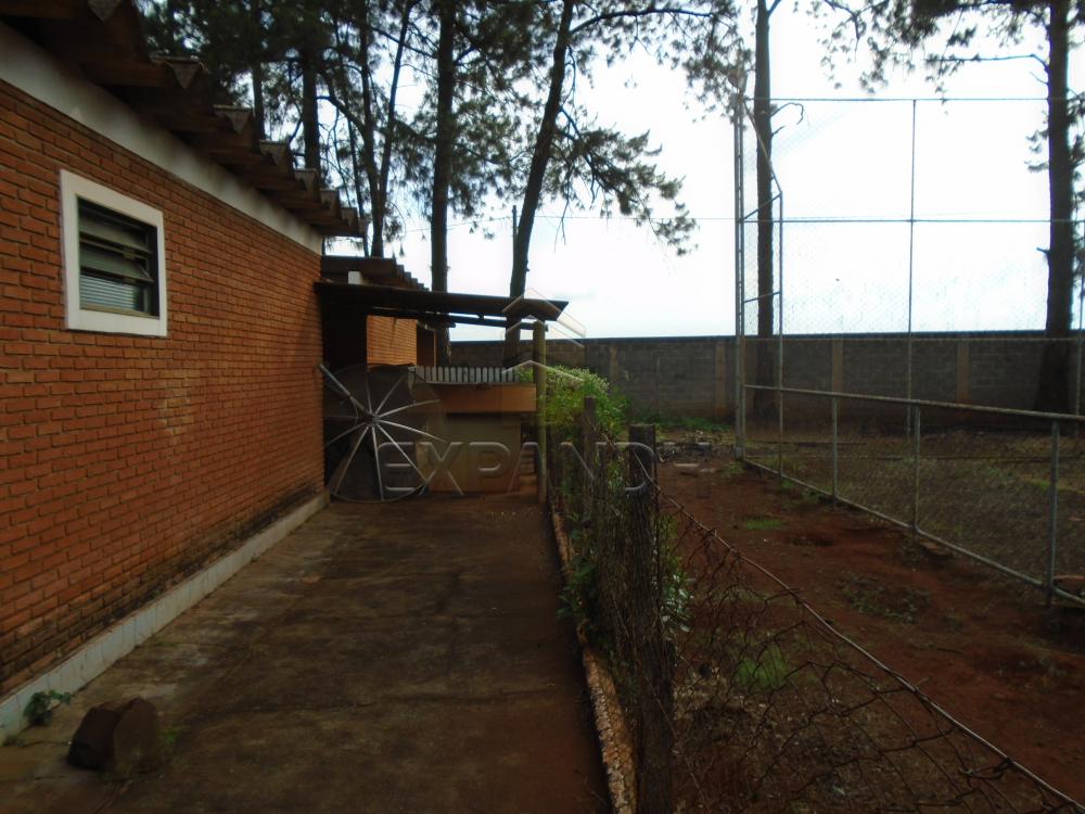 Comprar Rurais / Chácara em Sertãozinho R$ 1.000.000,00 - Foto 8 Comprar Rurais / Chácara em Sertãozinho R$ 1.000.000,00 - Foto 8