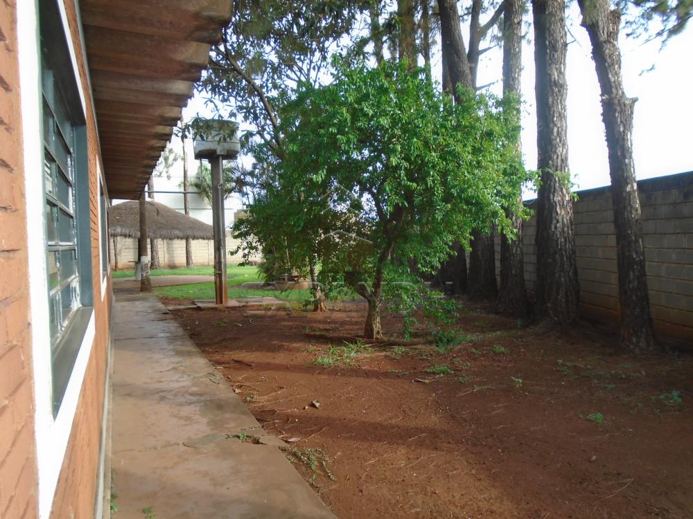Comprar Rurais / Chácara em Sertãozinho R$ 1.000.000,00 - Foto 9 Comprar Rurais / Chácara em Sertãozinho R$ 1.000.000,00 - Foto 9