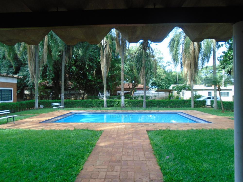 Comprar Rurais / Chácara em Sertãozinho R$ 1.000.000,00 - Foto 5 Comprar Rurais / Chácara em Sertãozinho R$ 1.000.000,00 - Foto 5