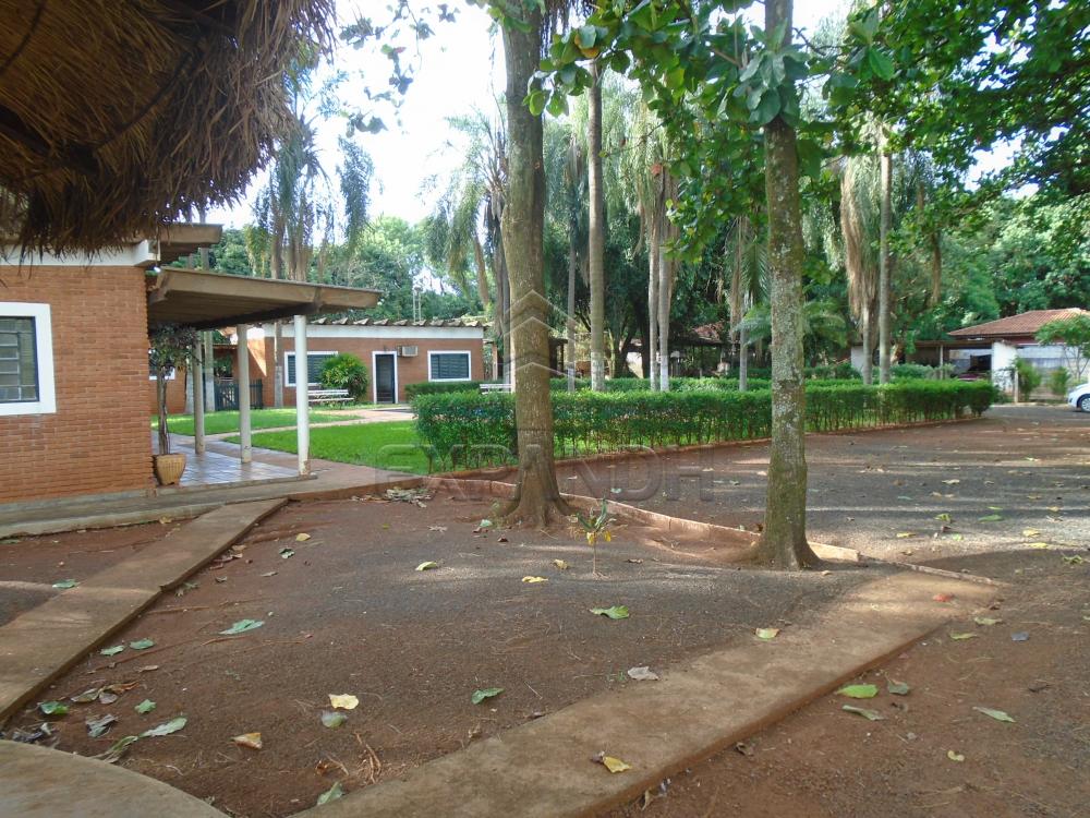 Comprar Rurais / Chácara em Sertãozinho R$ 1.000.000,00 - Foto 12 Comprar Rurais / Chácara em Sertãozinho R$ 1.000.000,00 - Foto 12