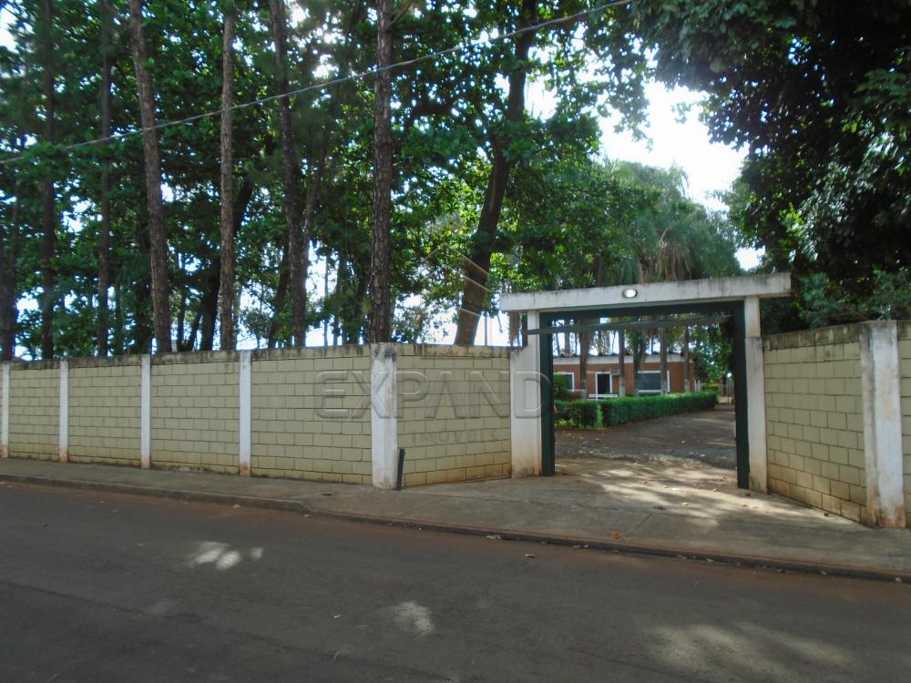 Comprar Rurais / Chácara em Sertãozinho R$ 1.000.000,00 - Foto 1 Comprar Rurais / Chácara em Sertãozinho R$ 1.000.000,00 - Foto 1