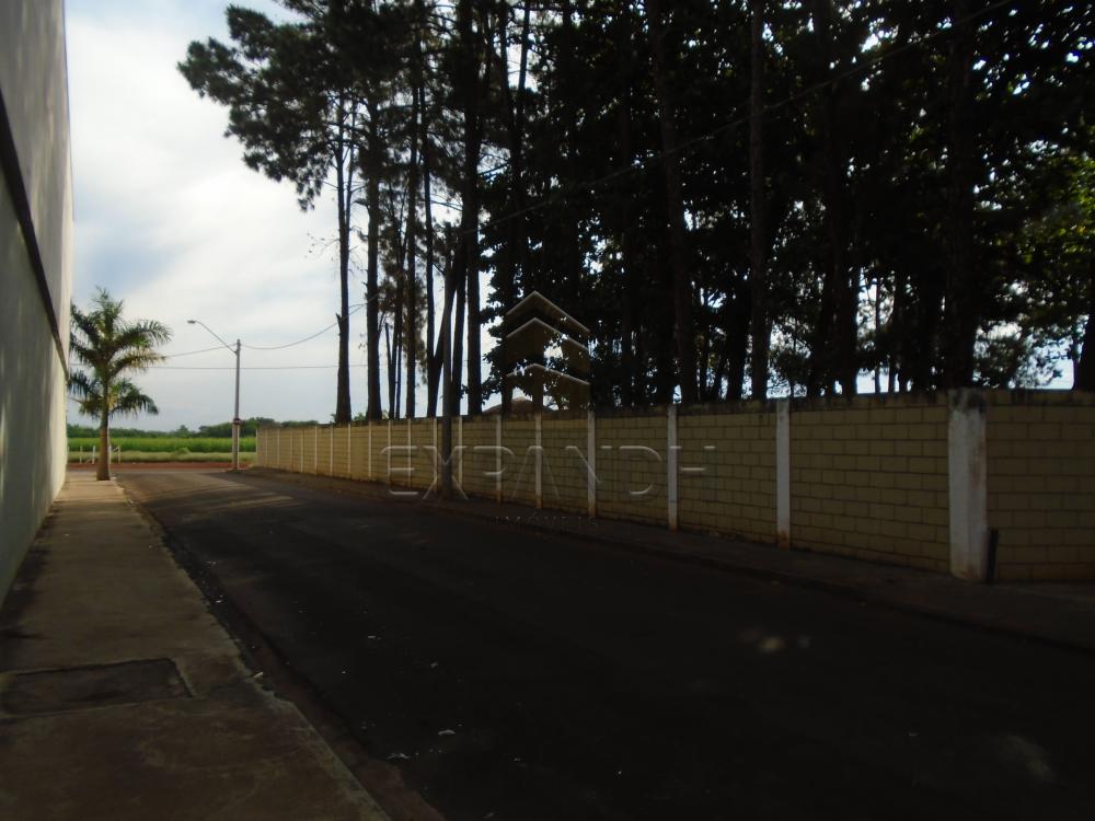 Comprar Rurais / Chácara em Sertãozinho R$ 1.000.000,00 - Foto 2 Comprar Rurais / Chácara em Sertãozinho R$ 1.000.000,00 - Foto 2