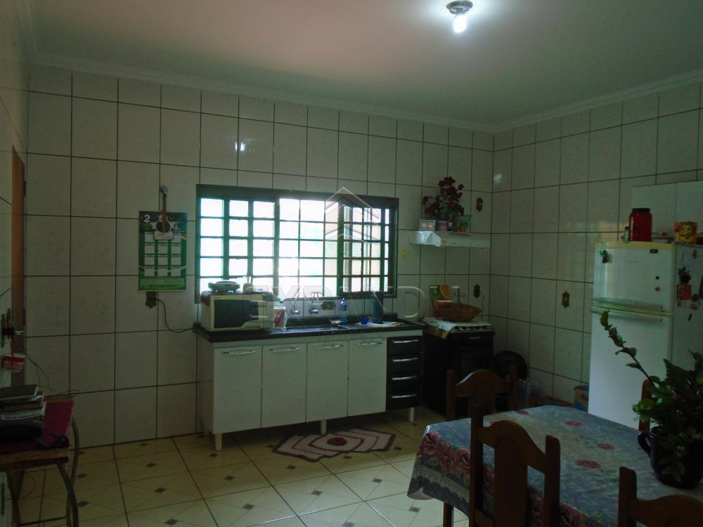 Comprar Casas / Padrão em Sertãozinho apenas R$ 330.000,00 - Foto 11 Comprar Casas / Padrão em Sertãozinho apenas R$ 330.000,00 - Foto 11