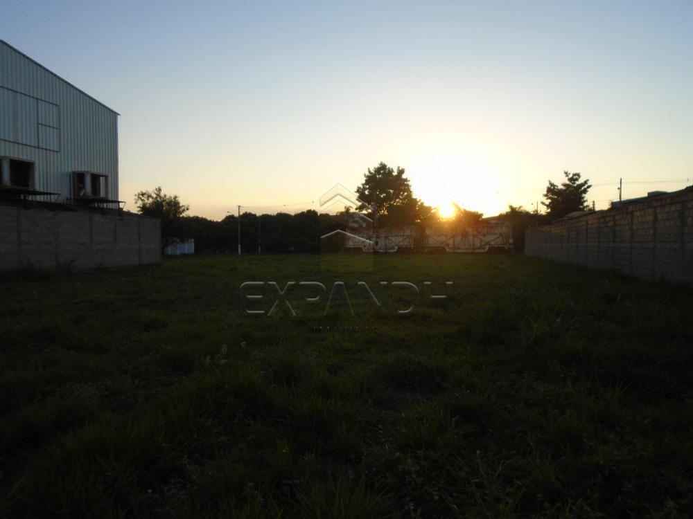Comprar Terrenos / Padrão em Sertãozinho apenas R$ 320.000,00 - Foto 4 Comprar Terrenos / Padrão em Sertãozinho apenas R$ 320.000,00 - Foto 4