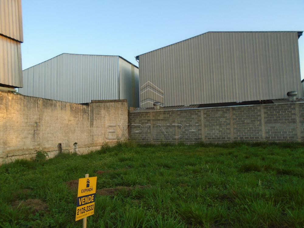 Comprar Terrenos / Padrão em Sertãozinho apenas R$ 320.000,00 - Foto 6 Comprar Terrenos / Padrão em Sertãozinho apenas R$ 320.000,00 - Foto 6