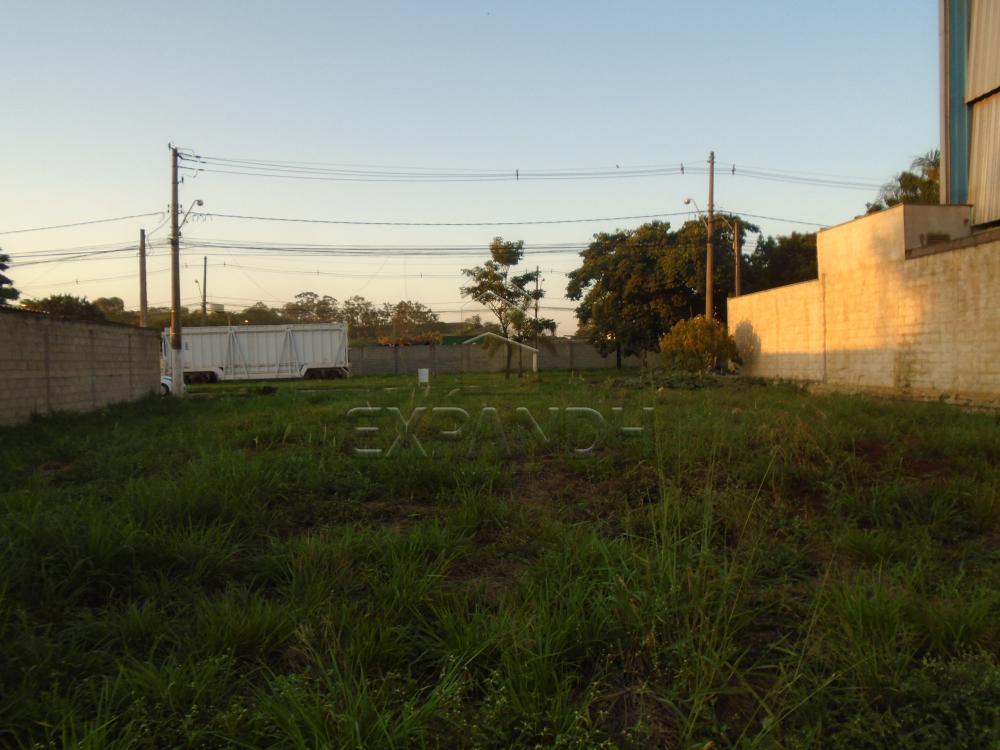 Comprar Terrenos / Padrão em Sertãozinho apenas R$ 320.000,00 - Foto 7 Comprar Terrenos / Padrão em Sertãozinho apenas R$ 320.000,00 - Foto 7