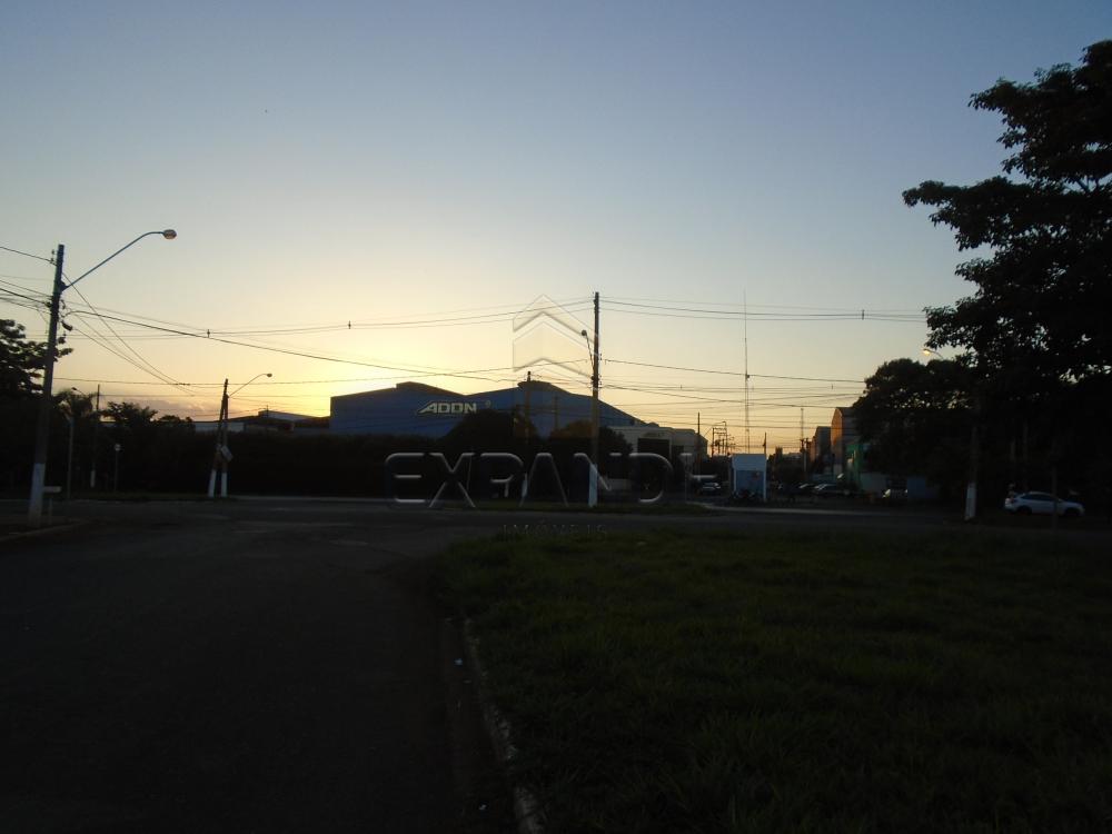 Comprar Terrenos / Padrão em Sertãozinho apenas R$ 320.000,00 - Foto 10 Comprar Terrenos / Padrão em Sertãozinho apenas R$ 320.000,00 - Foto 10