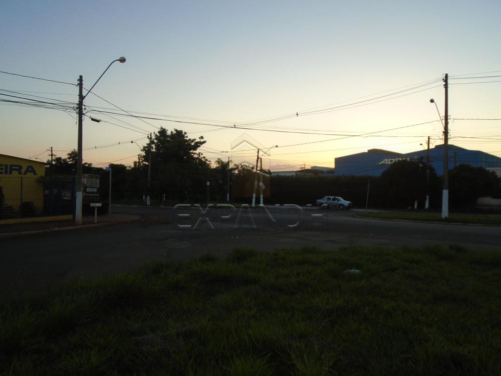 Comprar Terrenos / Padrão em Sertãozinho apenas R$ 320.000,00 - Foto 11 Comprar Terrenos / Padrão em Sertãozinho apenas R$ 320.000,00 - Foto 11