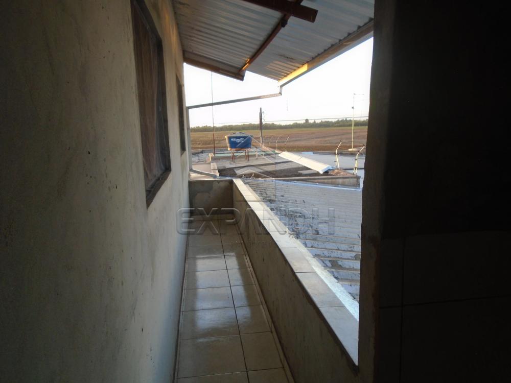 Comprar Casas / Padrão em Sertãozinho apenas R$ 200.000,00 - Foto 16 Comprar Casas / Padrão em Sertãozinho apenas R$ 200.000,00 - Foto 16
