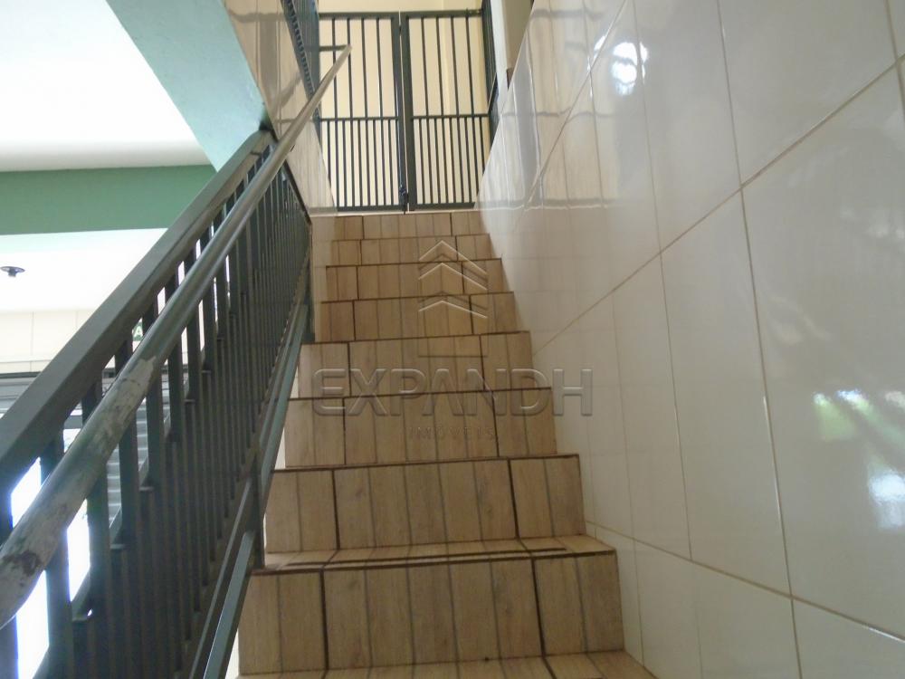 Comprar Casas / Padrão em Sertãozinho apenas R$ 290.000,00 - Foto 16 Comprar Casas / Padrão em Sertãozinho apenas R$ 290.000,00 - Foto 16