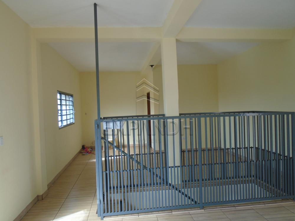 Comprar Casas / Padrão em Sertãozinho apenas R$ 290.000,00 - Foto 17 Comprar Casas / Padrão em Sertãozinho apenas R$ 290.000,00 - Foto 17