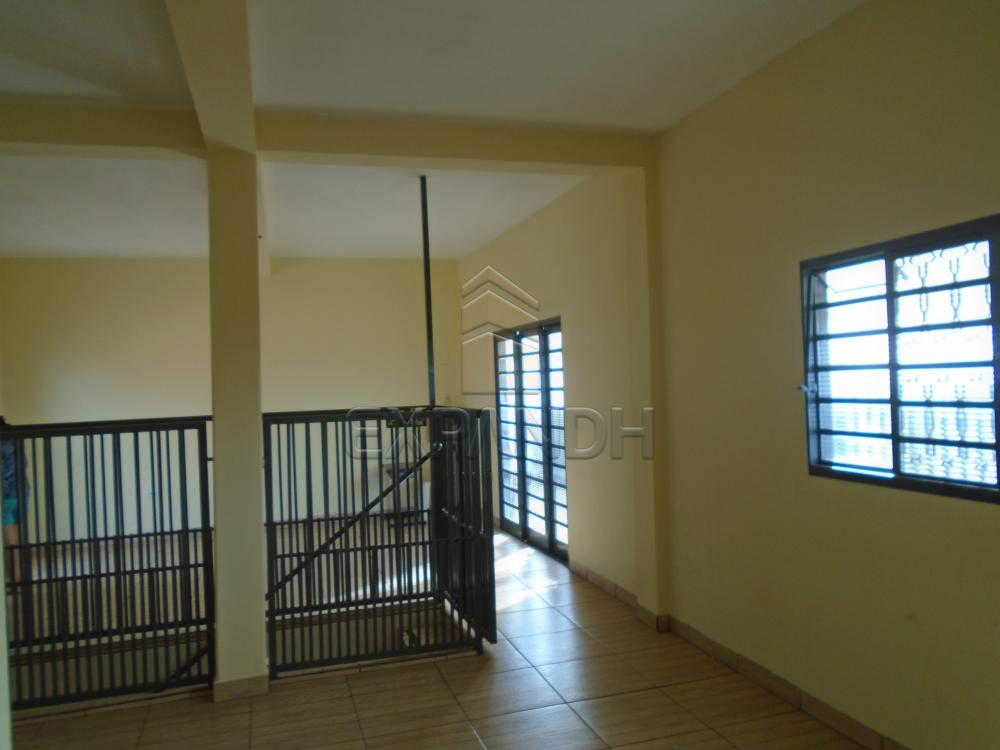 Comprar Casas / Padrão em Sertãozinho apenas R$ 290.000,00 - Foto 21 Comprar Casas / Padrão em Sertãozinho apenas R$ 290.000,00 - Foto 21