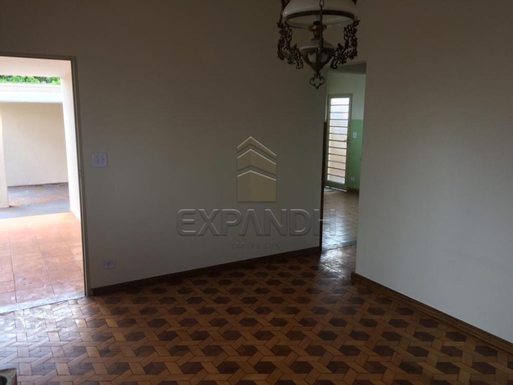 Alugar Casas / Padrão em Sertãozinho apenas R$ 1.300,00 - Foto 9 Alugar Casas / Padrão em Sertãozinho apenas R$ 1.300,00 - Foto 9
