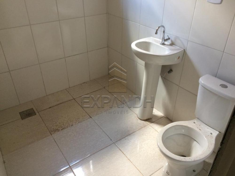 Alugar Casas / Padrão em Sertãozinho apenas R$ 1.300,00 - Foto 18 Alugar Casas / Padrão em Sertãozinho apenas R$ 1.300,00 - Foto 18