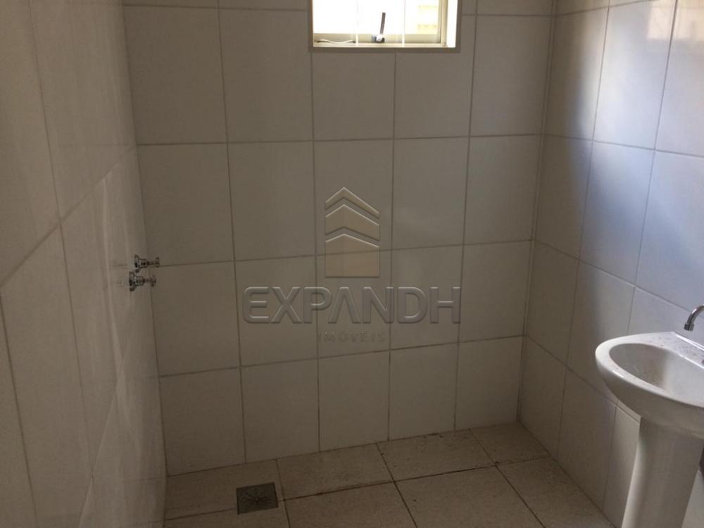 Alugar Casas / Padrão em Sertãozinho apenas R$ 1.300,00 - Foto 19 Alugar Casas / Padrão em Sertãozinho apenas R$ 1.300,00 - Foto 19