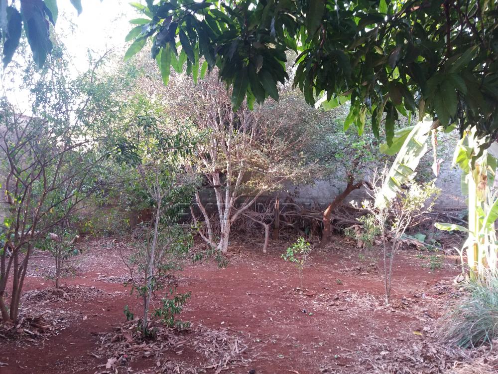 Comprar Casas / Padrão em Sertãozinho R$ 750.000,00 - Foto 12 Comprar Casas / Padrão em Sertãozinho R$ 750.000,00 - Foto 12