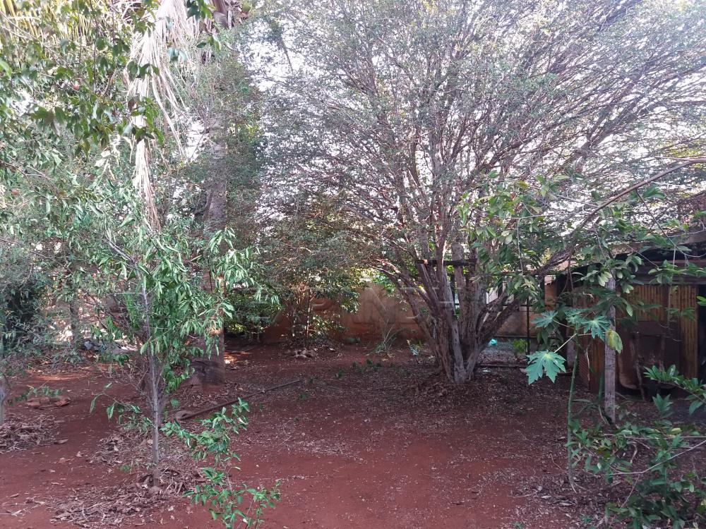 Comprar Casas / Padrão em Sertãozinho R$ 750.000,00 - Foto 10 Comprar Casas / Padrão em Sertãozinho R$ 750.000,00 - Foto 10